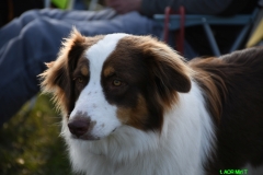DSC_7712