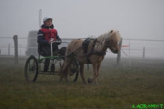DSC_3691