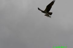 DSC_5359